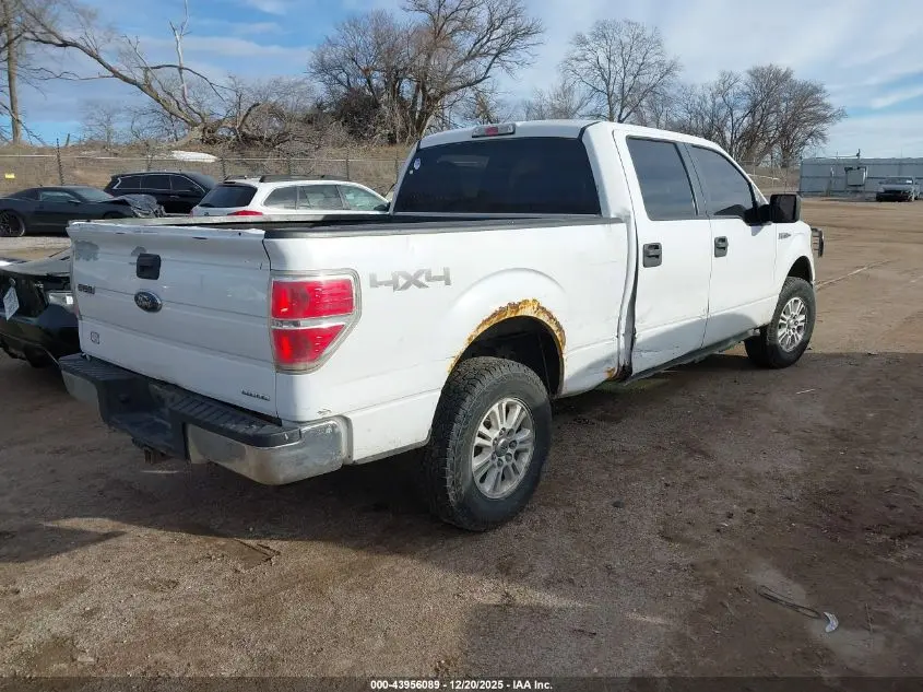 2014 FORD F-150 XLT