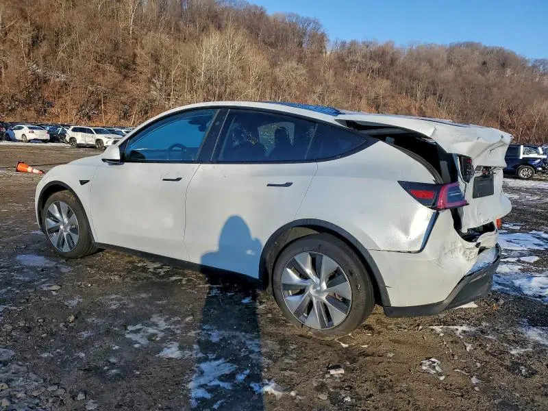 2024 TESLA MODEL Y   