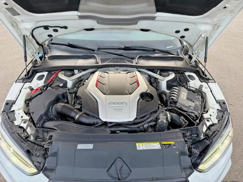 2019 AUDI S5 PREMIUM PLUS  