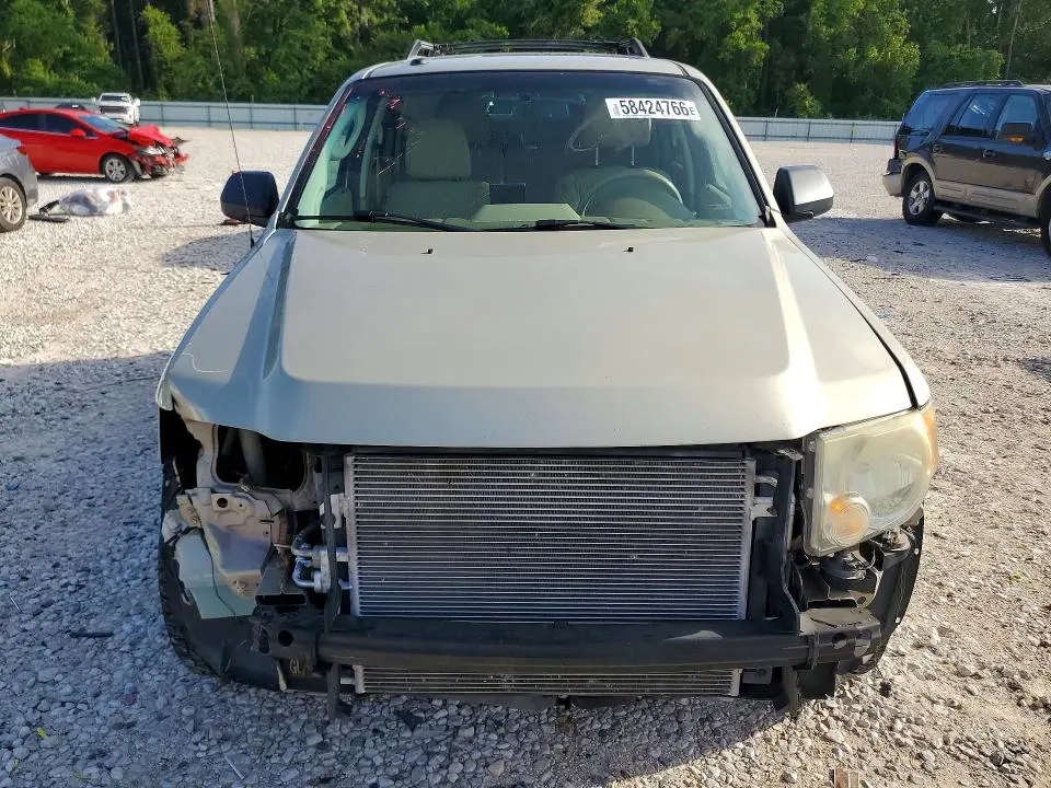 2011 FORD ESCAPE XLT  