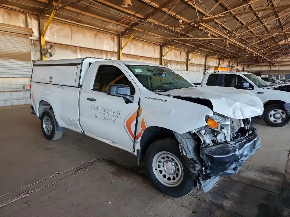 2019 CHEVROLET SILVERADO C1500  