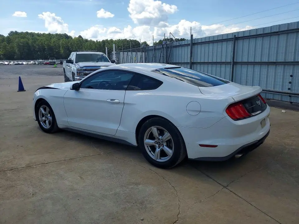 2019 FORD MUSTANG   