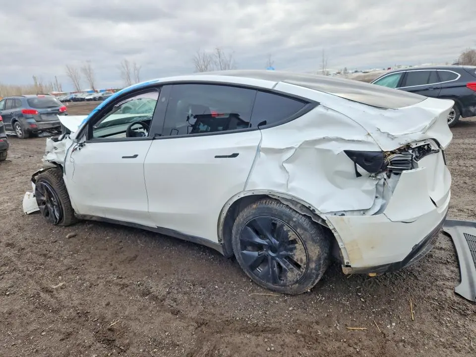 2024 TESLA MODEL Y   