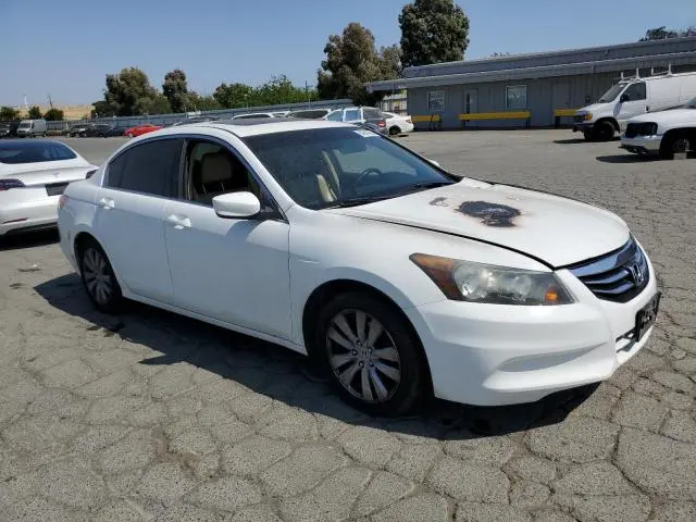 2011 HONDA ACCORD EXL  