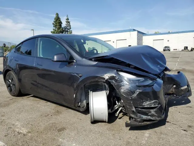 2025 TESLA MODEL Y   