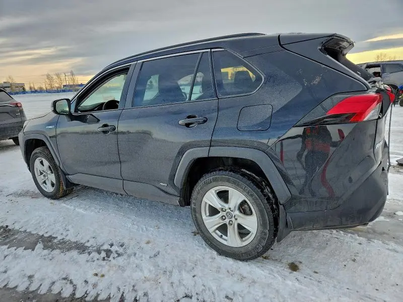 2019 TOYOTA RAV4 XLE  