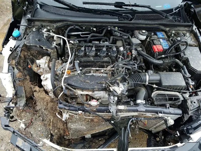 2024 HONDA CIVIC SI  