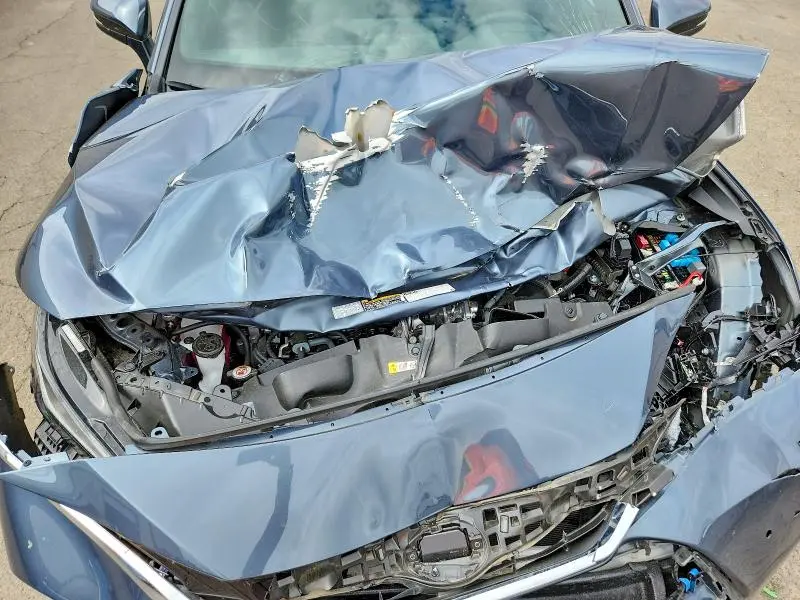 2023 TOYOTA VENZA XLE  