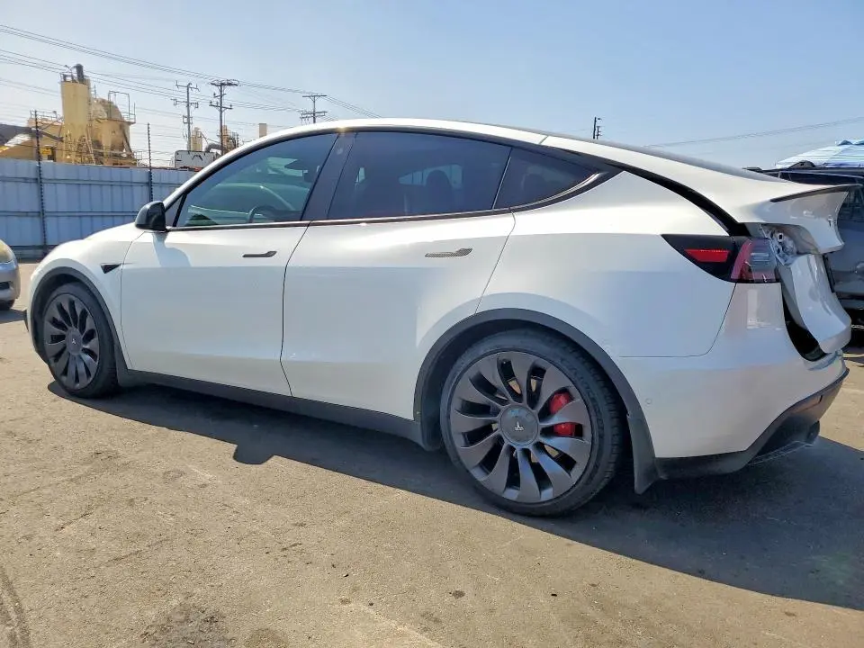2021 TESLA MODEL Y   