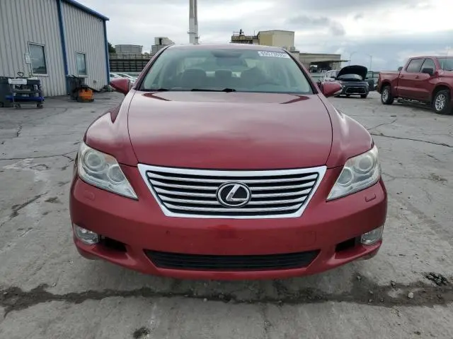 2010 LEXUS LS 460  