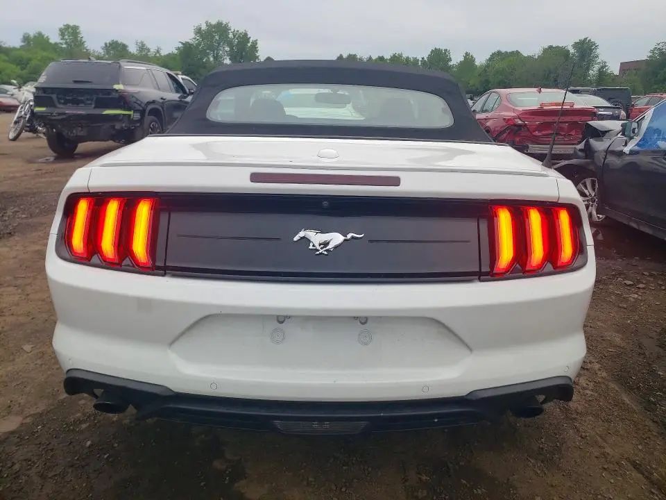 2019 FORD MUSTANG   