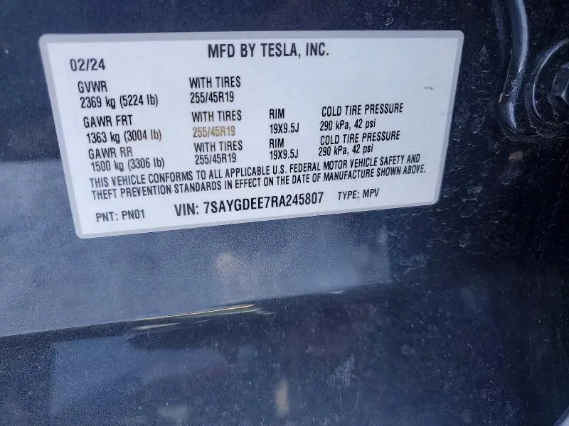 2024 TESLA MODEL Y   