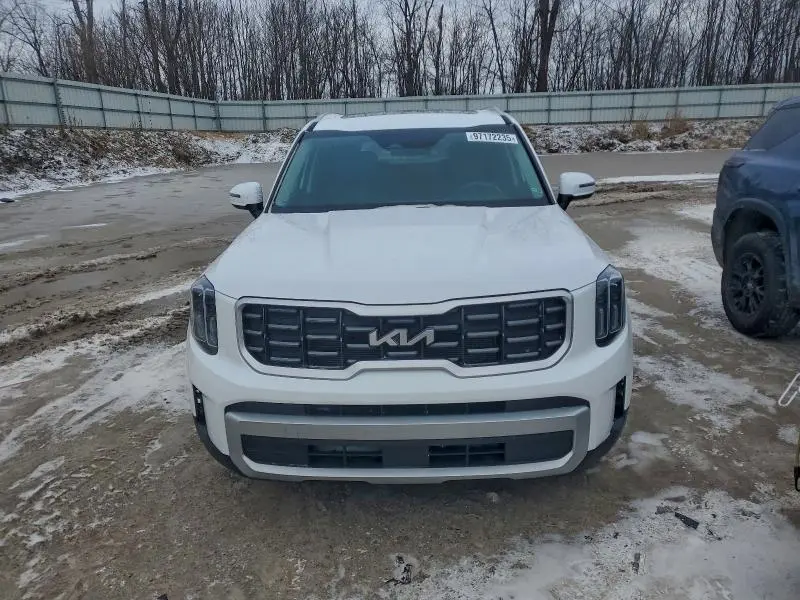2024 KIA TELLURIDE S  