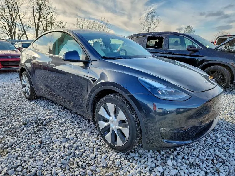2024 TESLA MODEL Y   