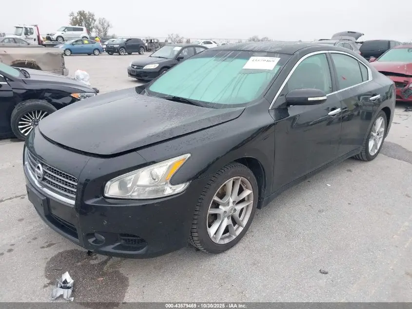 2011 NISSAN MAXIMA 3.5 SV