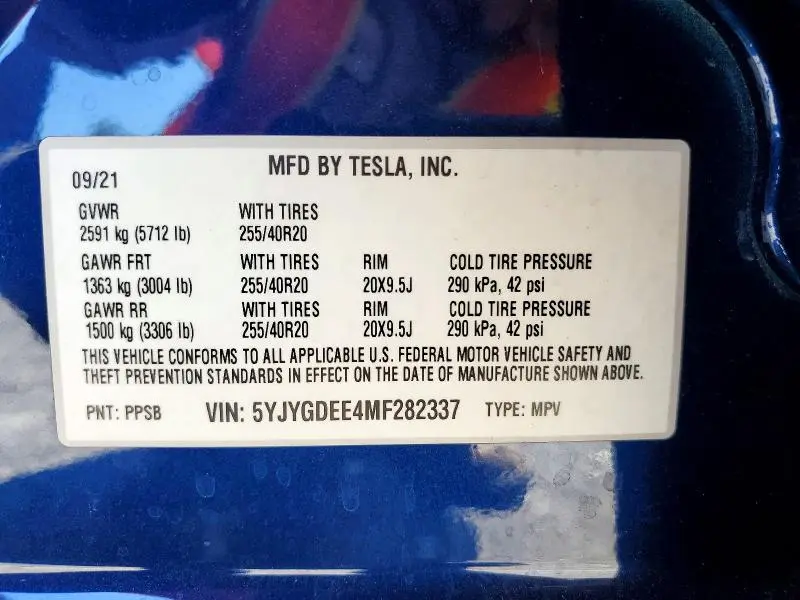 2021 TESLA MODEL Y   