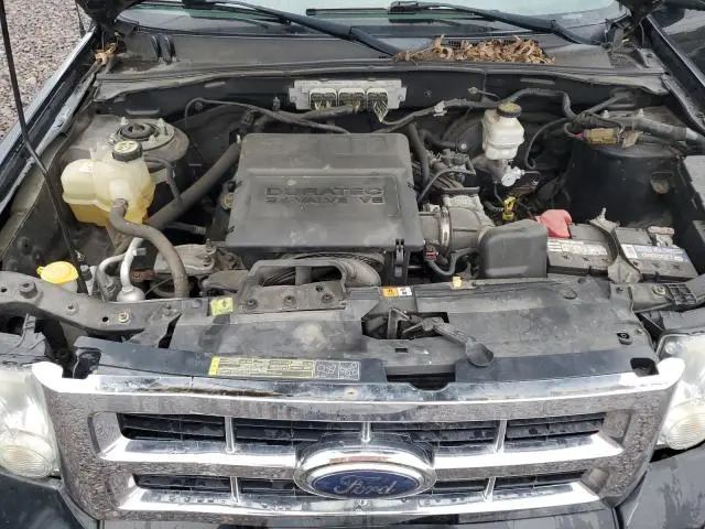 2010 FORD ESCAPE XLT  