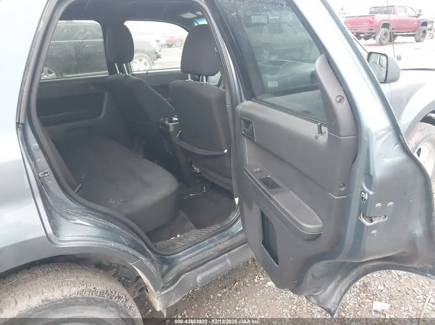 2010 FORD ESCAPE XLT
