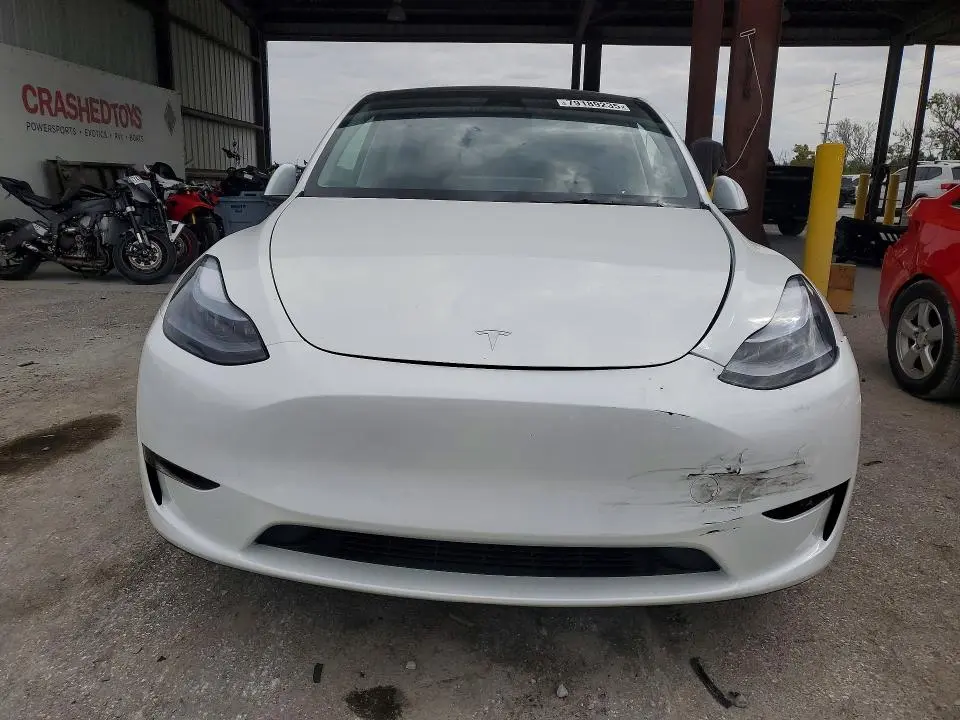 2025 TESLA MODEL Y   