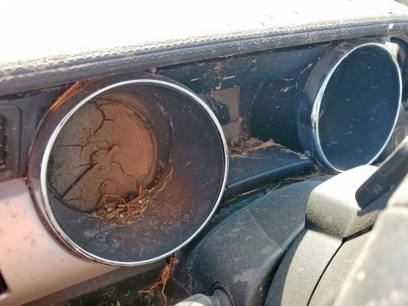 2017 FORD MUSTANG GT  