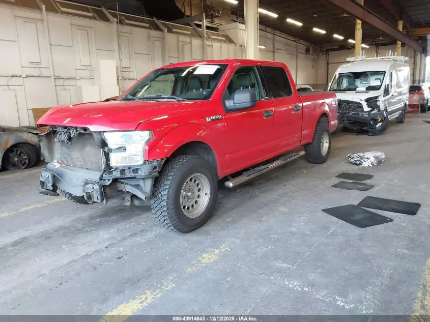 2015 FORD F-150 XLT