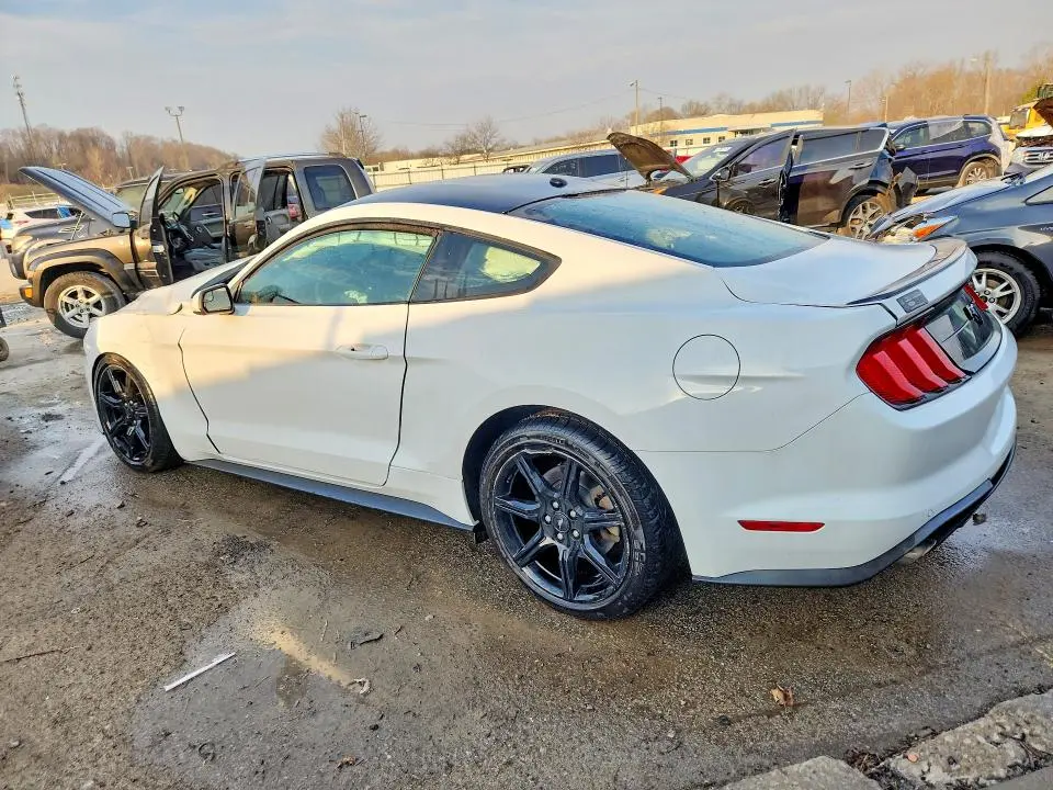 2019 FORD MUSTANG   