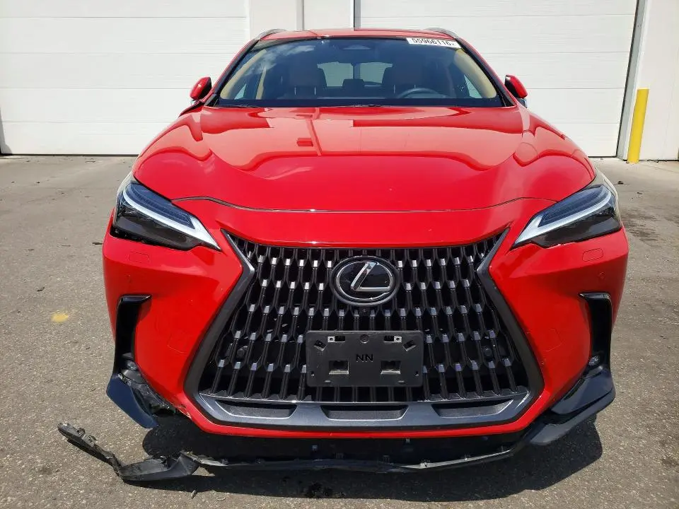 2024 LEXUS NX 350 LUXURY  