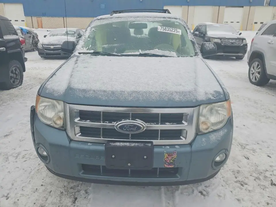 2010 FORD ESCAPE XLT  