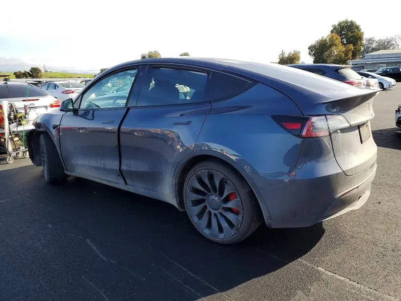 2022 TESLA MODEL Y   