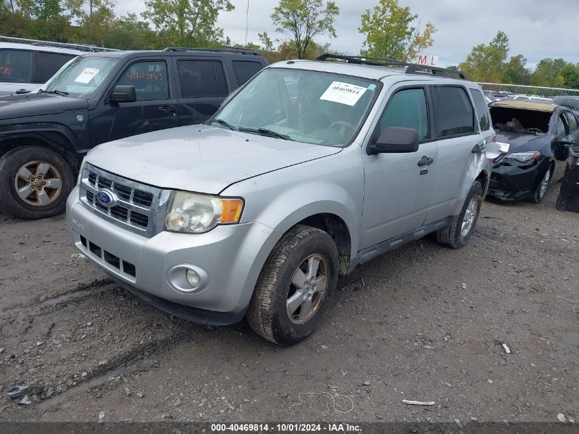 2010 FORD ESCAPE XLT