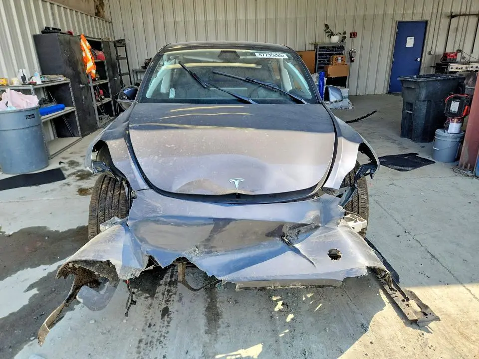2025 TESLA MODEL Y   