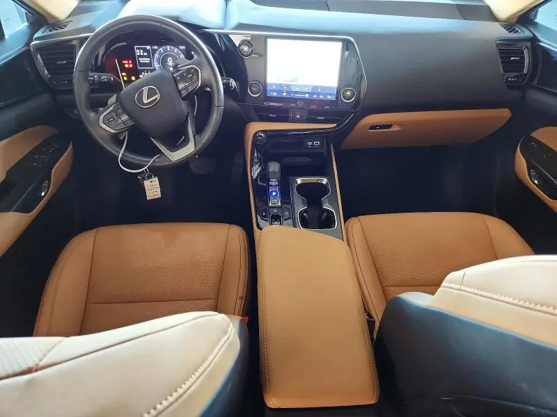 2025 LEXUS NX   