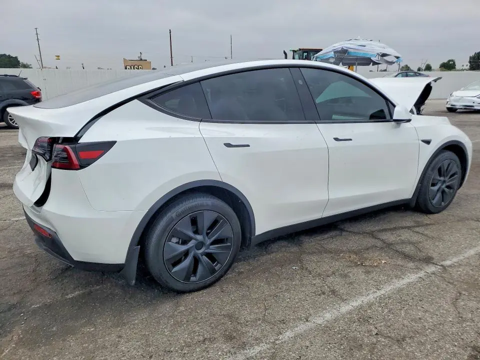 2024 TESLA MODEL Y   