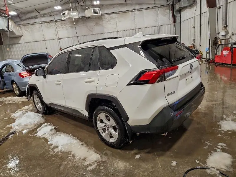 2019 TOYOTA RAV4 LE  