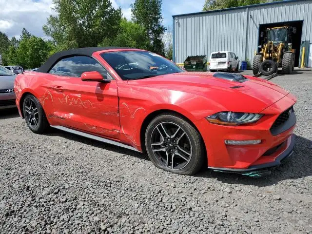 2019 FORD MUSTANG   