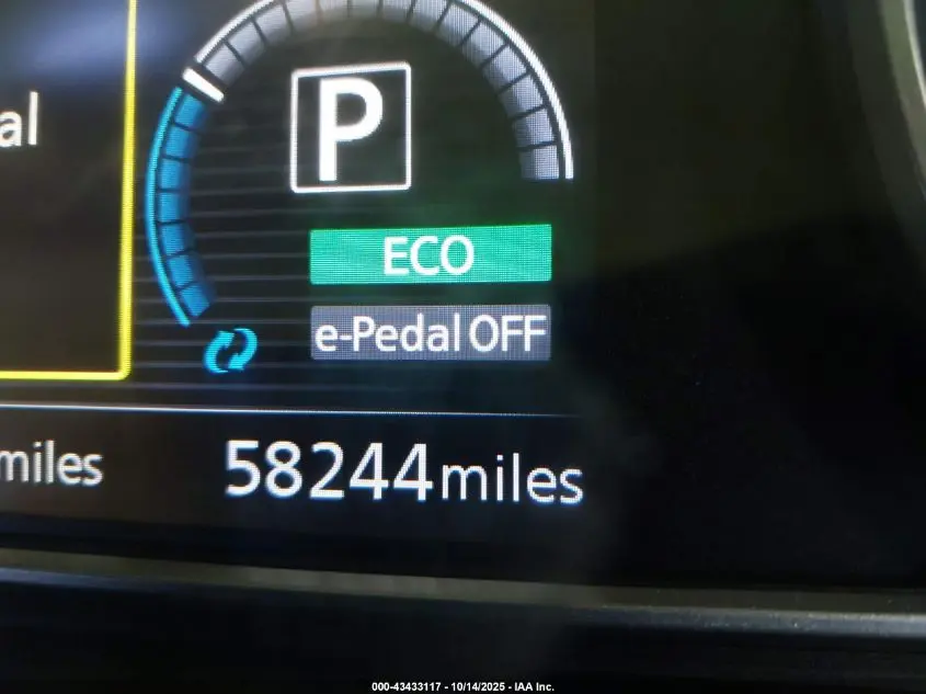 2019 NISSAN LEAF SV PLUS