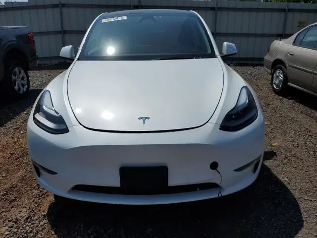 2025 TESLA MODEL Y   