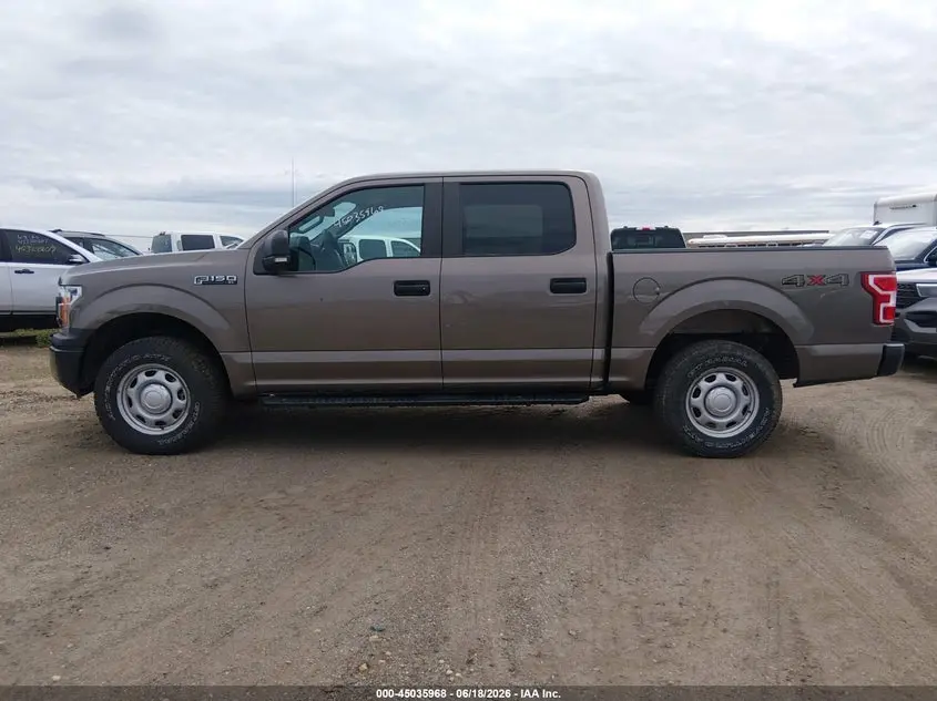 2020 FORD F-150 XL