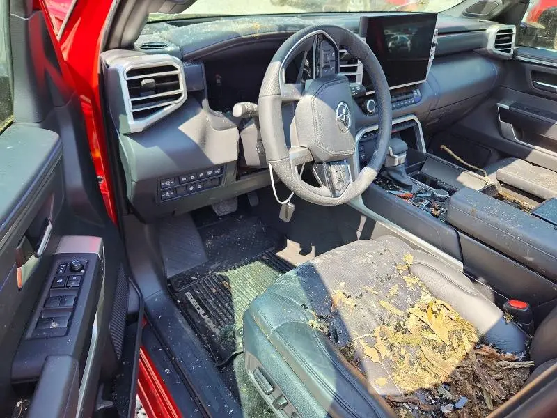 2025 TOYOTA SEQUOIA PLATINUM  