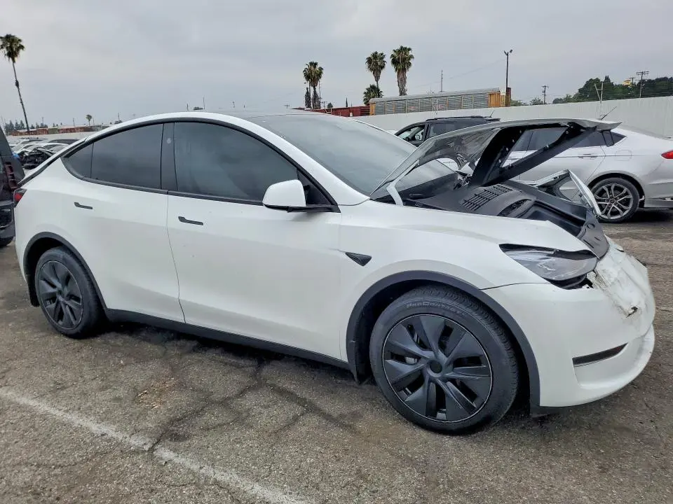 2024 TESLA MODEL Y   