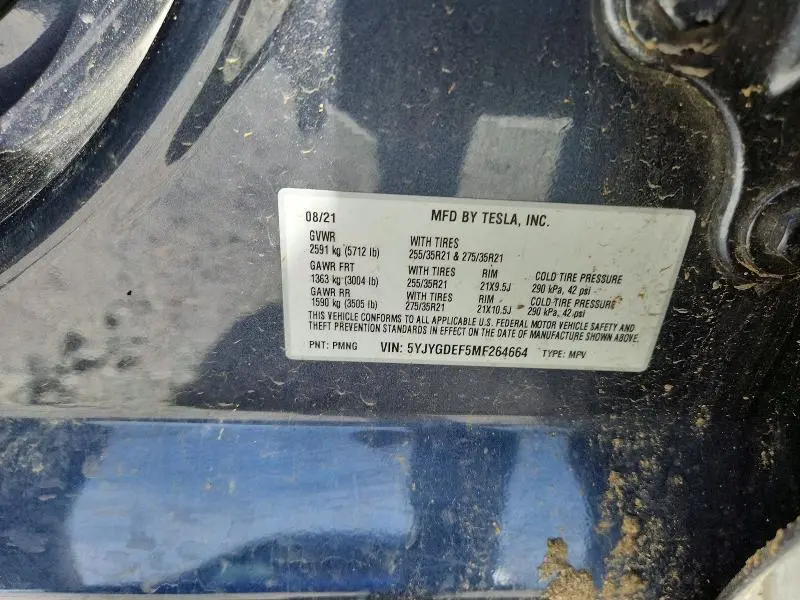 2021 TESLA MODEL Y   