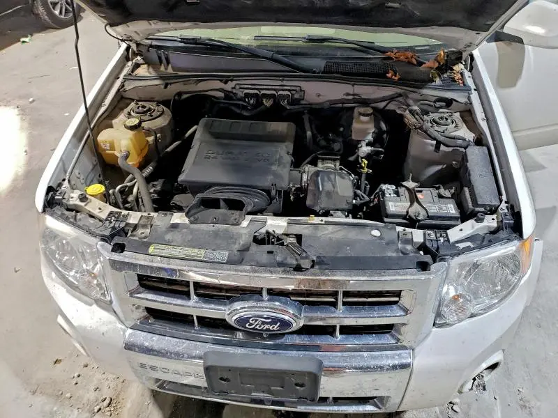 2010 FORD ESCAPE LIMITED  