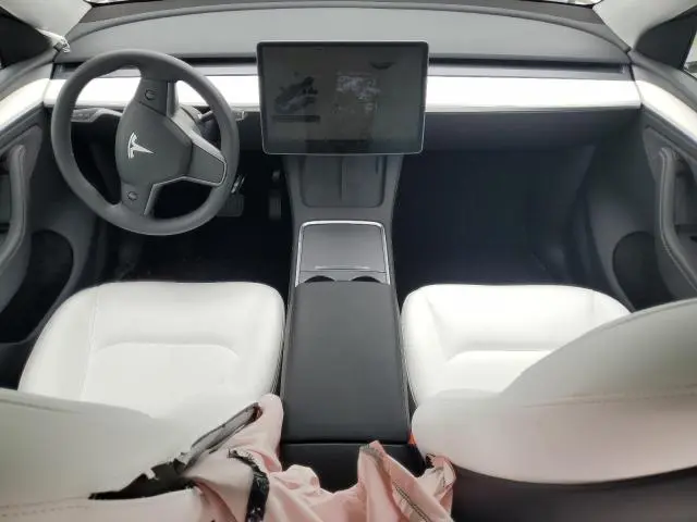 2025 TESLA MODEL Y   