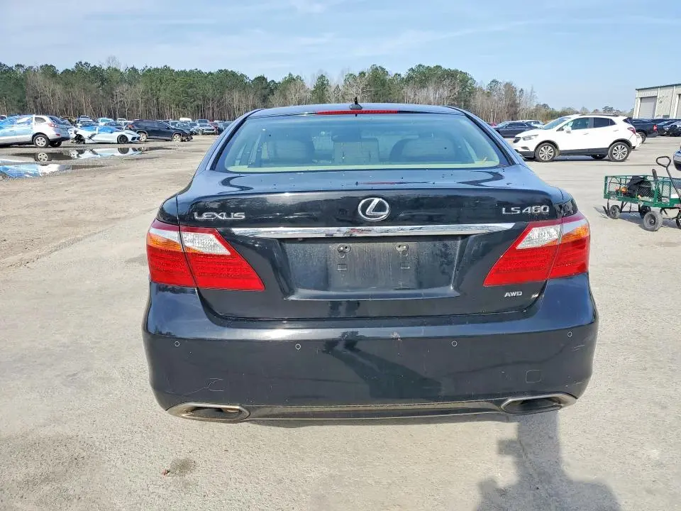 2010 LEXUS LS 460  