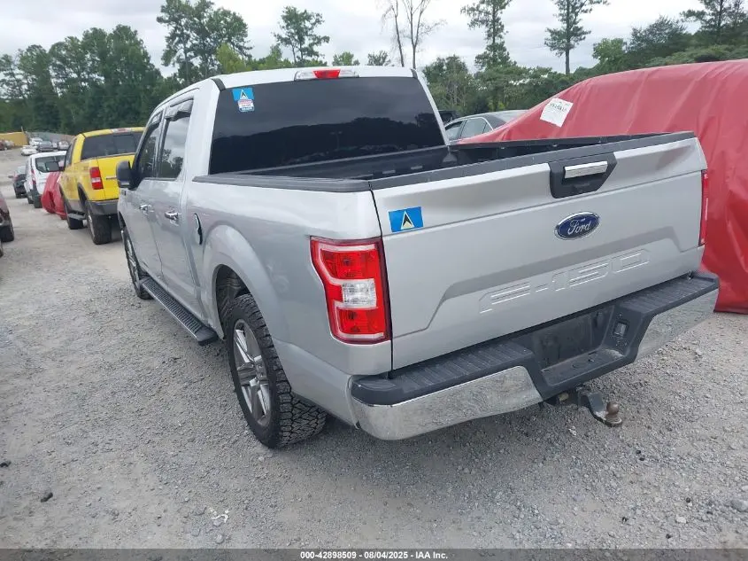 2019 FORD F-150 XLT