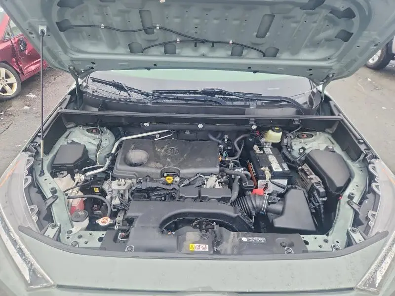 2019 TOYOTA RAV4 XLE  