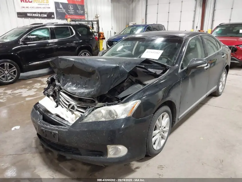 2010 LEXUS ES 350  