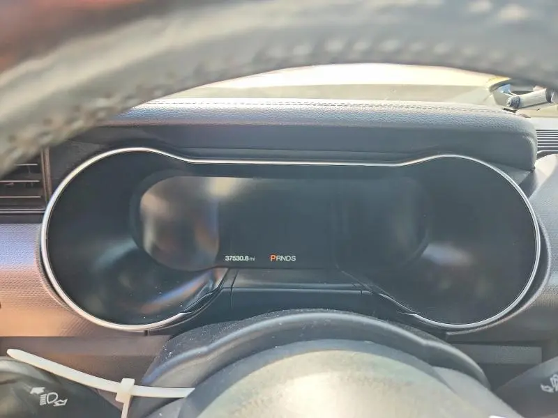 2019 FORD MUSTANG   