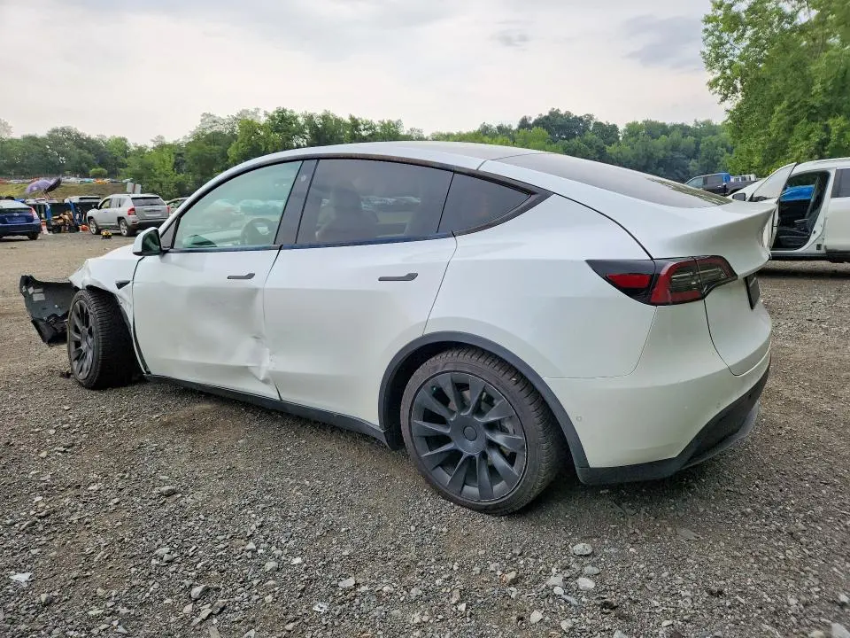 2021 TESLA MODEL Y   