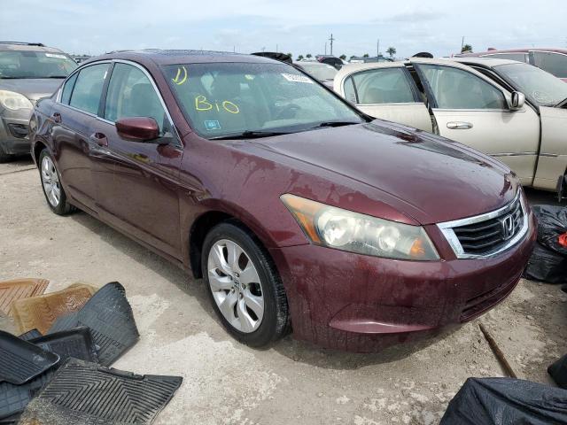 2010 HONDA ACCORD EXL